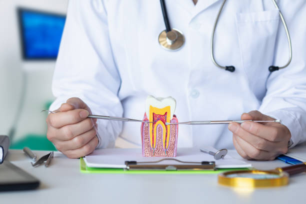 Best Emergency Treatment for Toothache in Duryea, PA